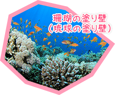 珊瑚の塗り壁（琉球の塗り壁）